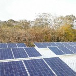 Docentes de la UVM y UNICACH Instalan Central Solar Fotovoltaica en Empresa de Chiapas
