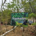 Estudiantes de UVM Campus Tuxtla, recuperan predio abandonado donde impulsan la creación del parque ecológico Yashalum