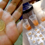 Estudiantes de UVM elaboran “gomita” de Agar-agar enriquecida con probióticos del Natto, que busca prevenir enfermedades como cáncer y diabetes