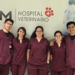 Hospital Veterinario de UVM promueve el programa Méritos Académicos para especialización de pasantes