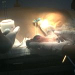 El Hospital Veterinario de UVM aplica su primera electroquimioterapia en perros