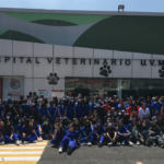 Hospital Veterinario de UVM: 9 años de excelencia en el cuidado animal y en la formación de médicos veterinarios